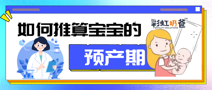 “试管宝宝”的预产期如何推算？｜彩虹奶爸