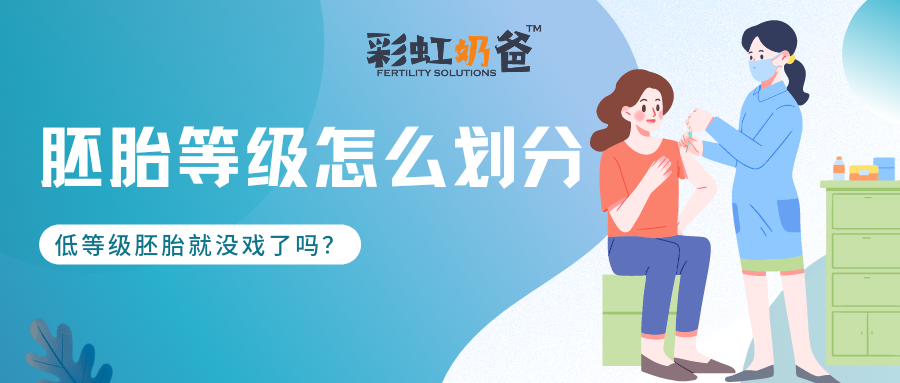 胚胎等级是怎么划分的呢？评分越高越好？｜彩虹奶爸