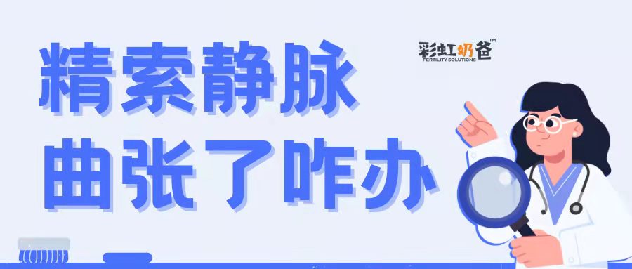 精索静脉曲张是什么？对生殖有没有影响？｜彩虹奶爸