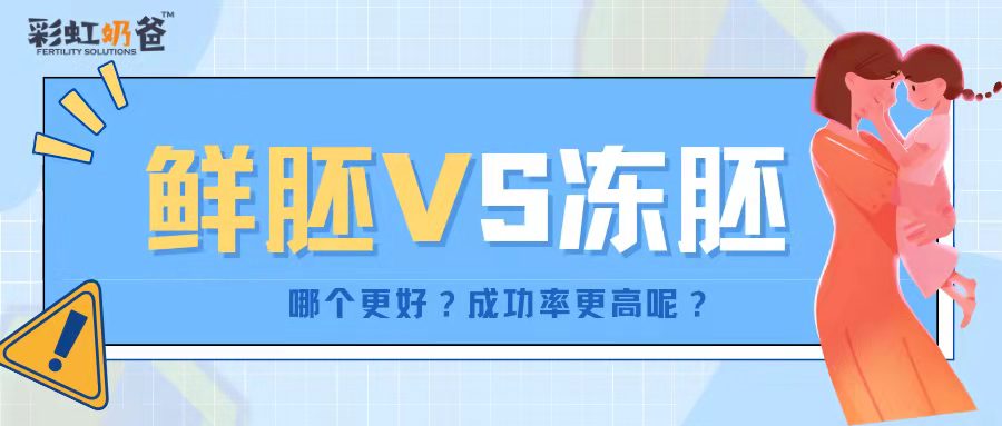 鲜胚VS冻胚，哪个更好？成功率更高呢？｜彩虹奶爸