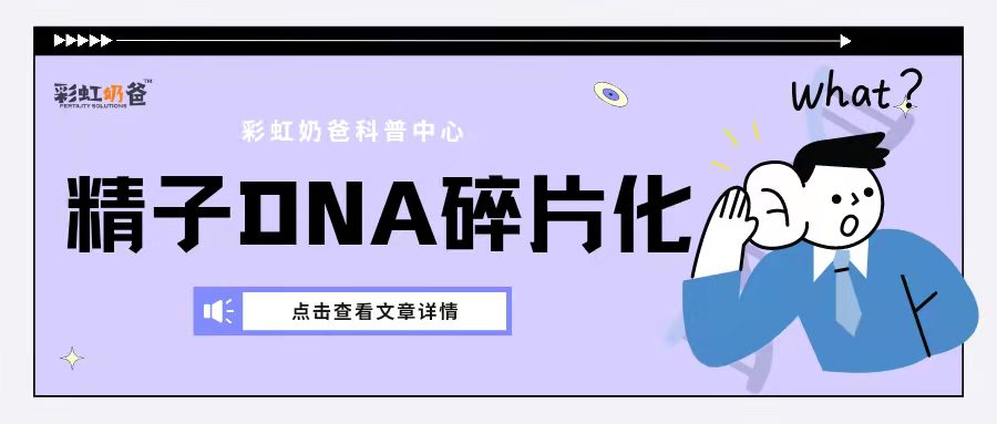 精子各项指标正常，精子DNA却碎片化了是怎么回事？｜彩虹奶爸
