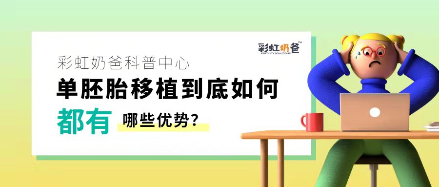 为什么越来越多人选择单胚胎移植，有哪些优势呢？｜彩虹奶爸