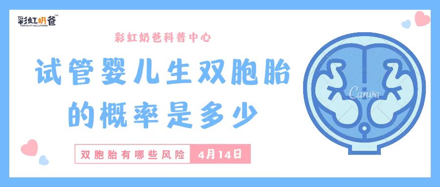 试管婴儿生双胞胎的概率是多少？存在哪些风险？｜彩虹奶爸