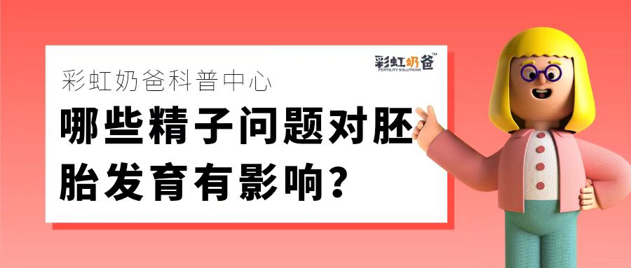 哪些精子问题对胚胎发育有影响？｜彩虹奶爸