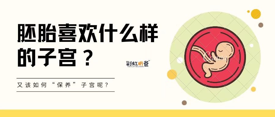 胚胎喜欢什么样的子宫，如何保养？｜彩虹奶爸