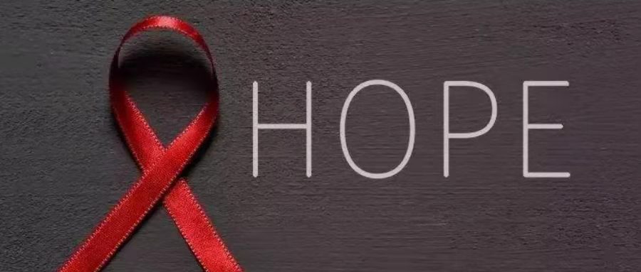 上热搜！科学家发现HIV变异株，毒性传染性或更强 | 彩虹奶爸