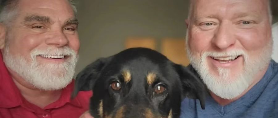 公狗被恐同主人抛弃，恋爱33年同志夫夫伴侣决定收养丨彩虹奶爸